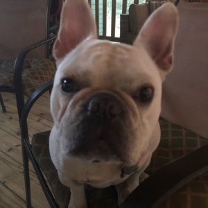 Meet your Posher, Christinachristina